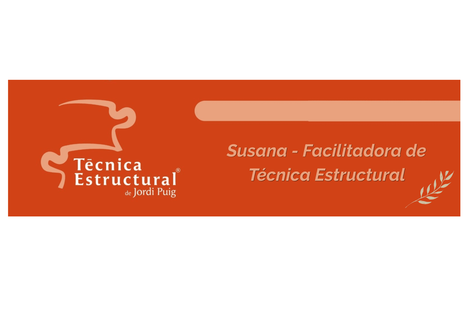 Susana Facilitadora De Tecnica Estructural